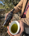 AOVE Jaén Variedad Picual Cosecha Temprana 2025/26 - Edición Limitada Botella 500ml