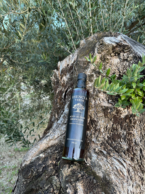 AOVE Jaén Variedad Picual Cosecha Temprana 2025/26 - Edición Limitada Botella 500ml