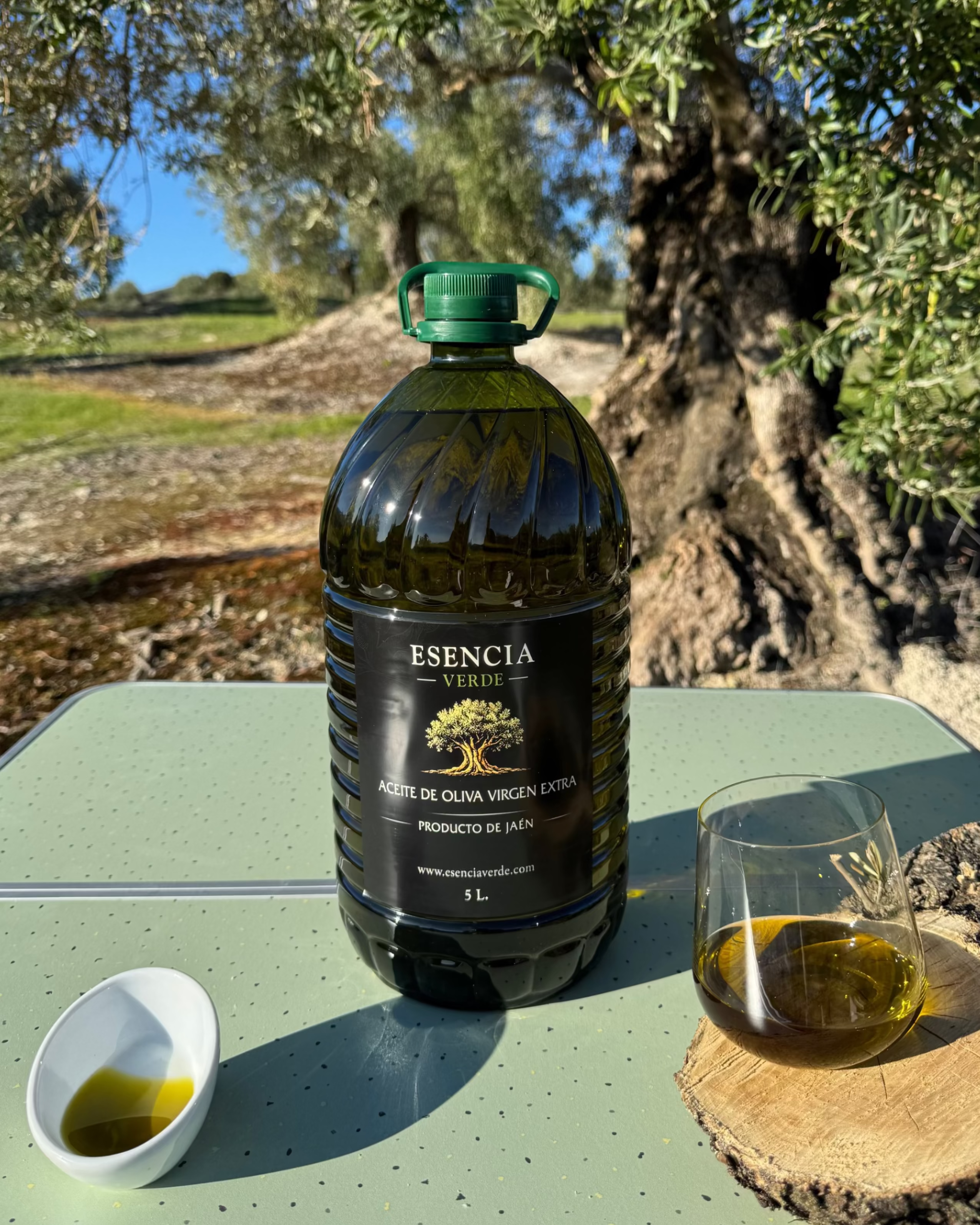 AOVE Jaén Variedad Picual Cosecha 2025/26 - Calidad Premium - Garrafa 5 Litros