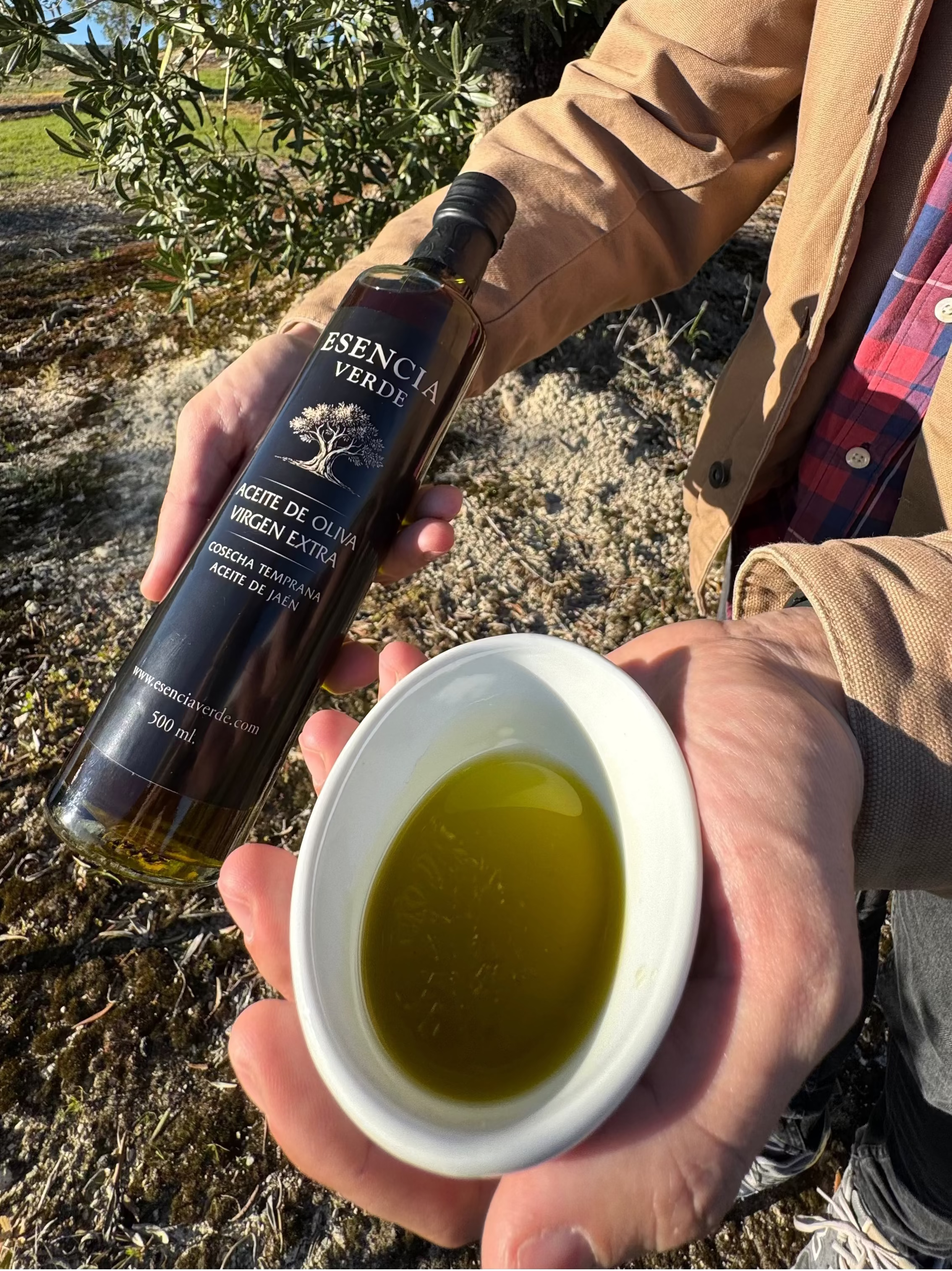 AOVE Jaén Variedad Picual Cosecha Temprana 2025/26 - Edición Limitada 500ml (ÚLTIMAS UNIDADES)