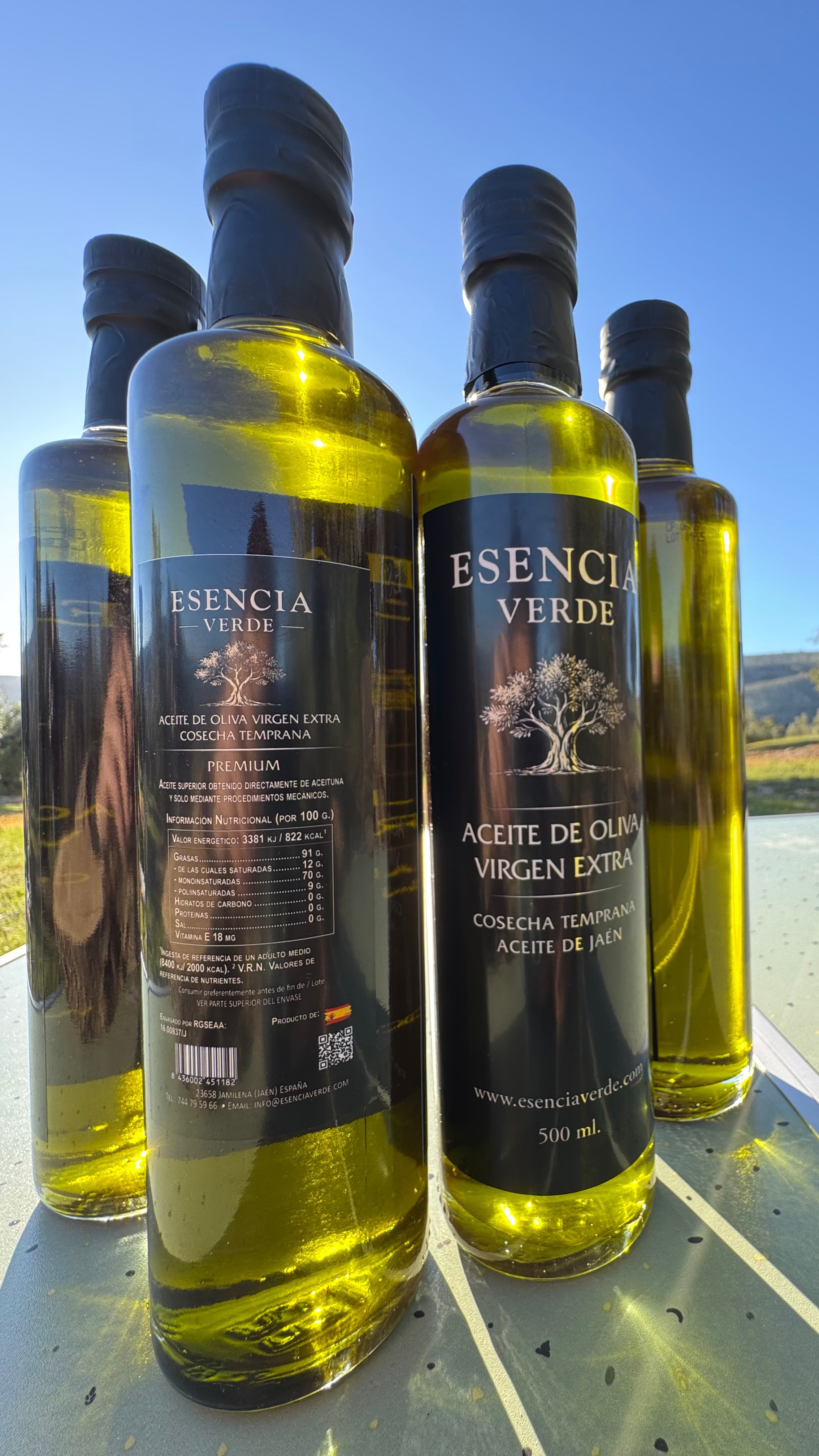 AOVE Jaén Variedad Picual Cosecha Temprana 2025/26 - Edición Limitada 500ml (ÚLTIMAS UNIDADES)