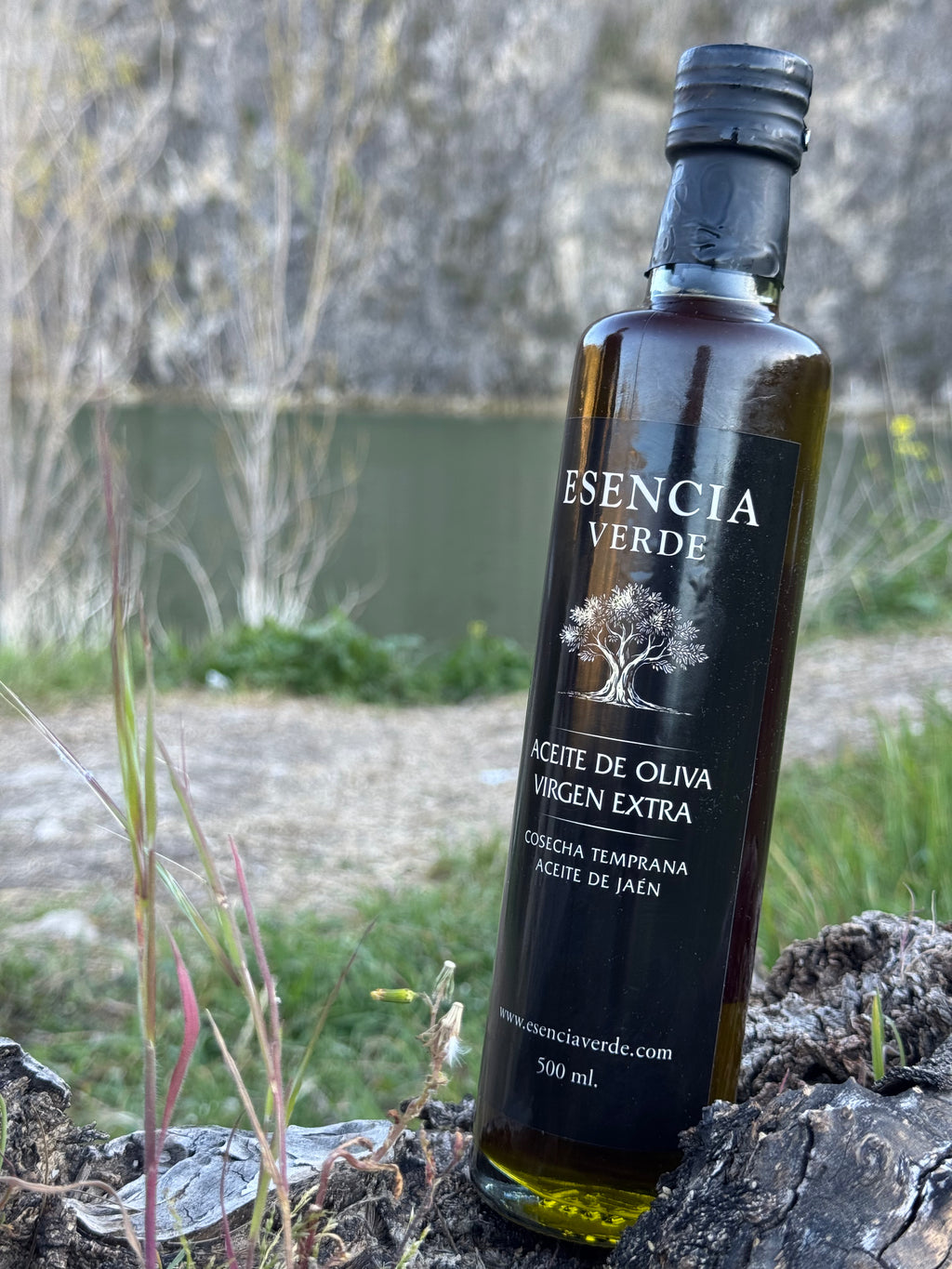 AOVE Jaén Variedad Picual Cosecha Temprana 2025/26 - Edición Limitada Botella 500ml