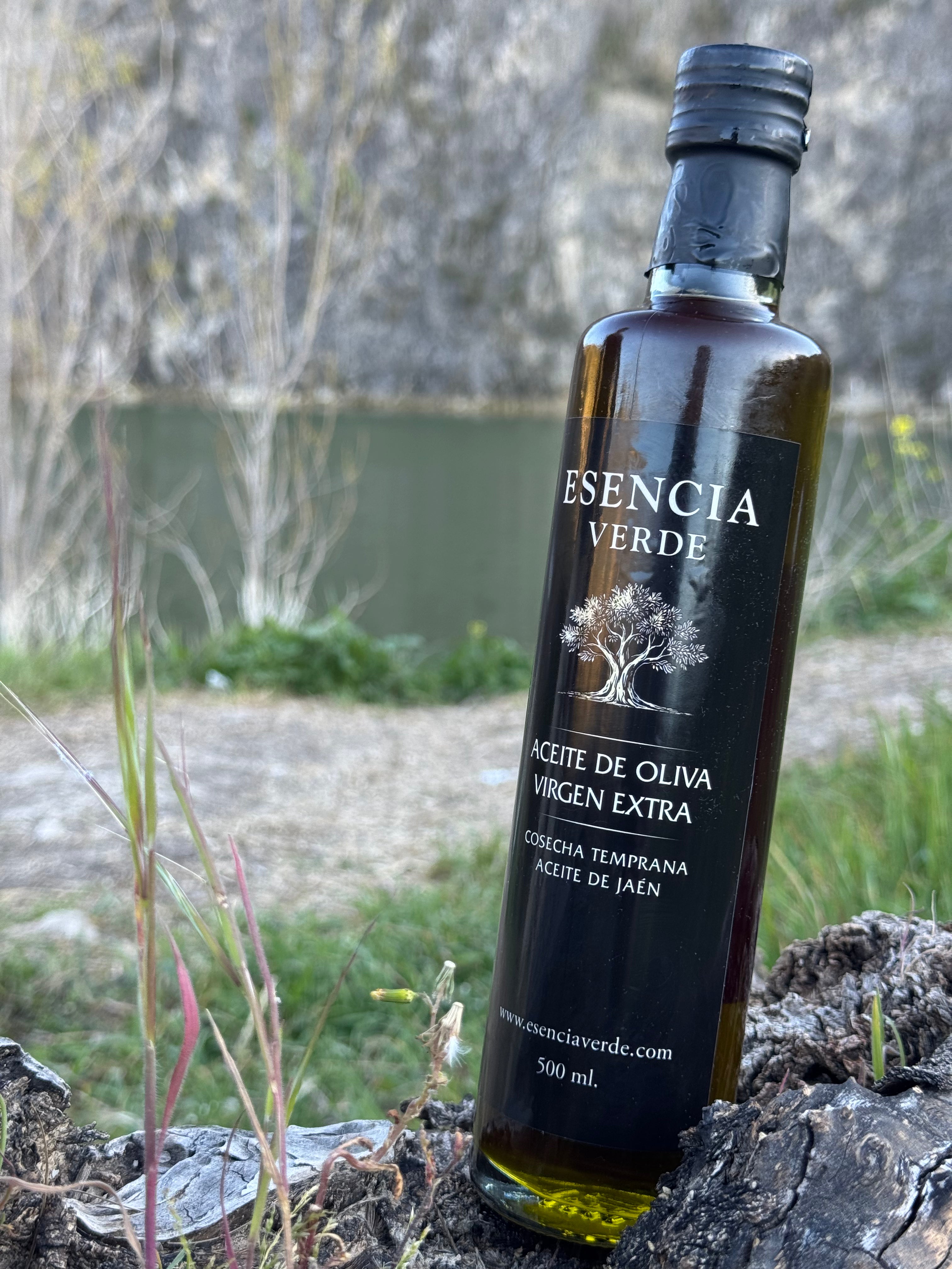 AOVE Jaén Variedad Picual Cosecha Temprana 2025/26 - Edición Limitada Botella 500ml