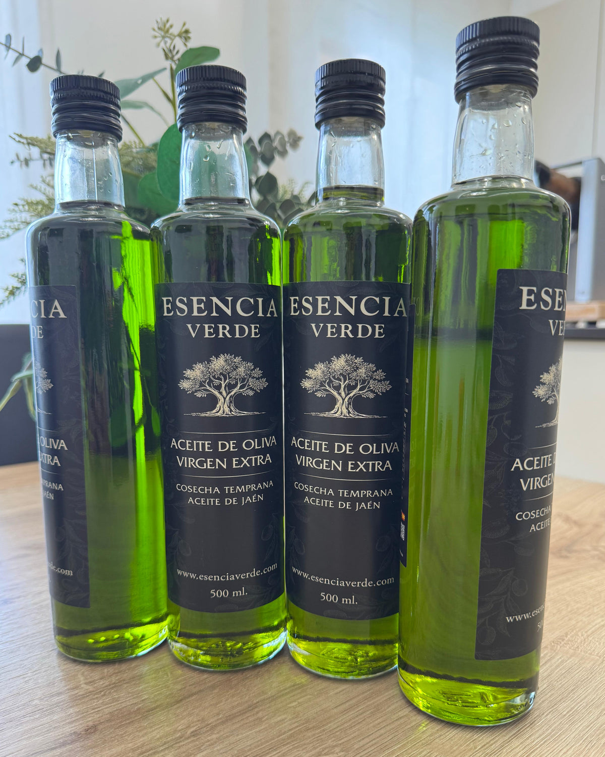 AOVE Picual de Jaén - Nueva Cosecha Temprana 2026/27 - Edición Limitada Botella Cristal 500ml
